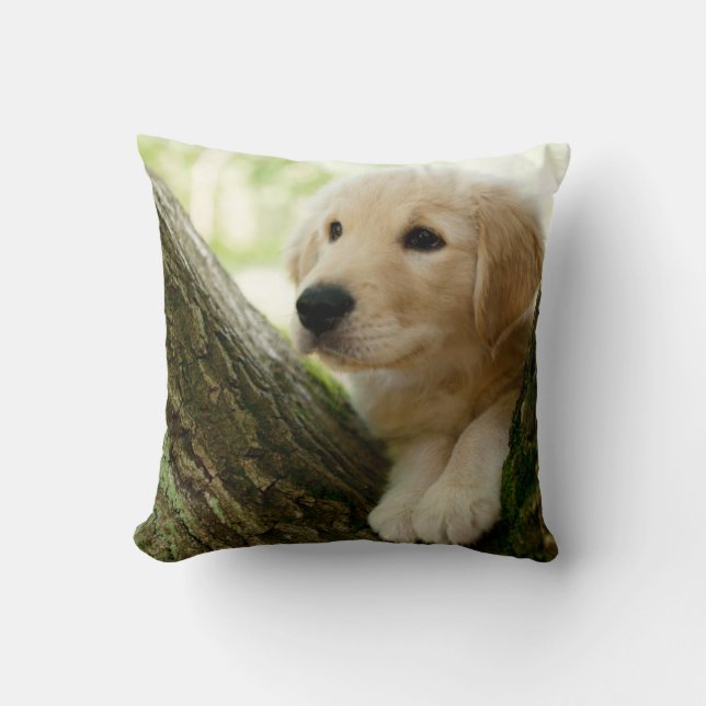 Coussin Chiot de Labrador se reposant dans un arrangement (Recto)
