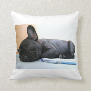 Coussin chiot de taureau français.png
