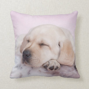 Coussin Chiot du Labrador