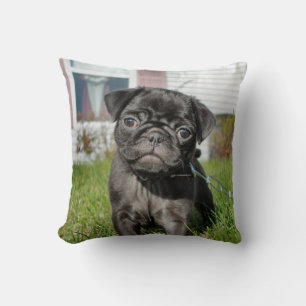 Coussin Chiot en carlin noir