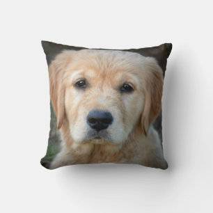 Coussin Chiot Golden Retriever