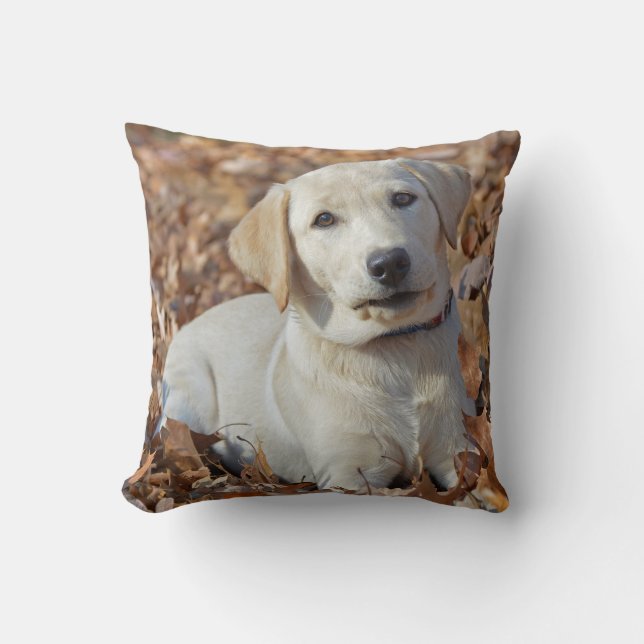 Coussin Chiot jaune de labrador retriever (Recto)