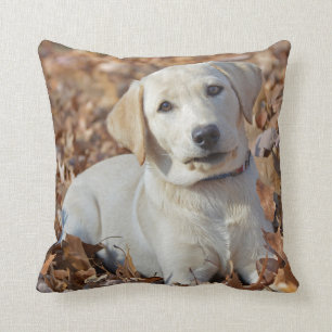 Coussin Chiot jaune de labrador retriever