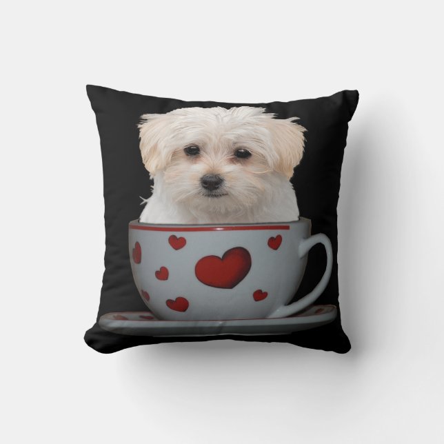 Coussin Chiot maltais mignon se reposant dans une tasse et (Recto)
