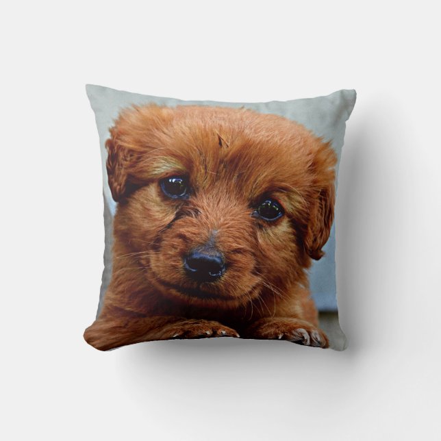 Coussin Chiot Mignon (Recto)