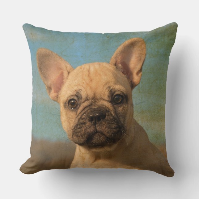 Coussin Chiot mignon de bouledogue français, cru (Recto)