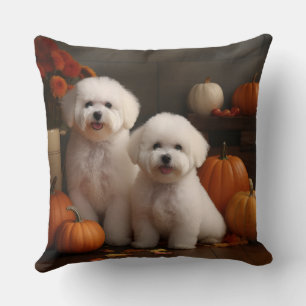 Coussin Chiots Bichon Frise Délice d'Automne Citrouille