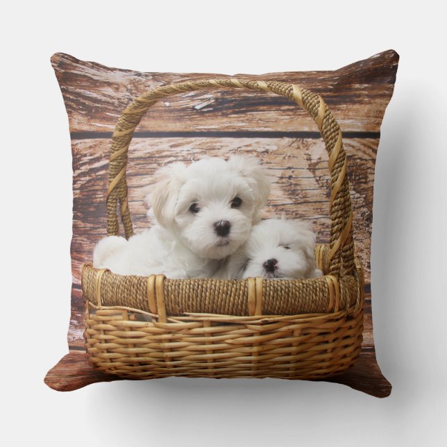 Coussin Chiots blancs dans une panier (Recto)