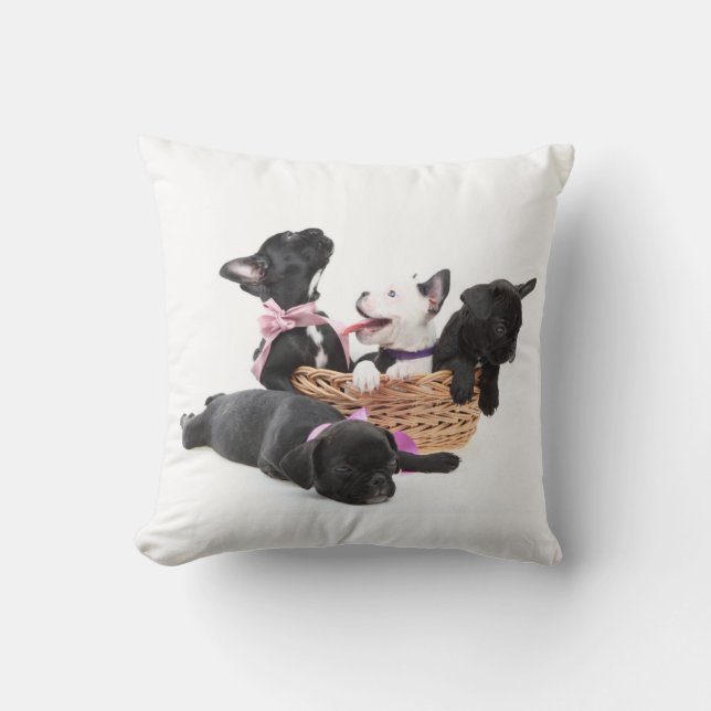 Coussin Chiots de bouledogue français (Recto)