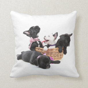 Coussin Chiots de bouledogue français