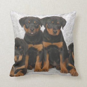 Coussin Chiots de rottweiler
