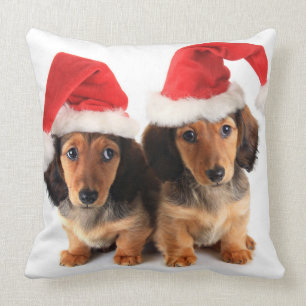 Coussin Chiots de teckel de Noël utilisant des casquettes