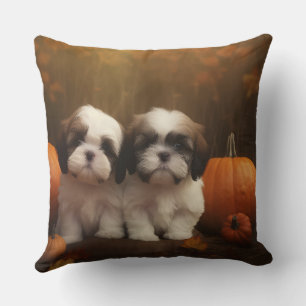 Coussin Chiots Shih Tzu Délice d'Automne Citrouille 