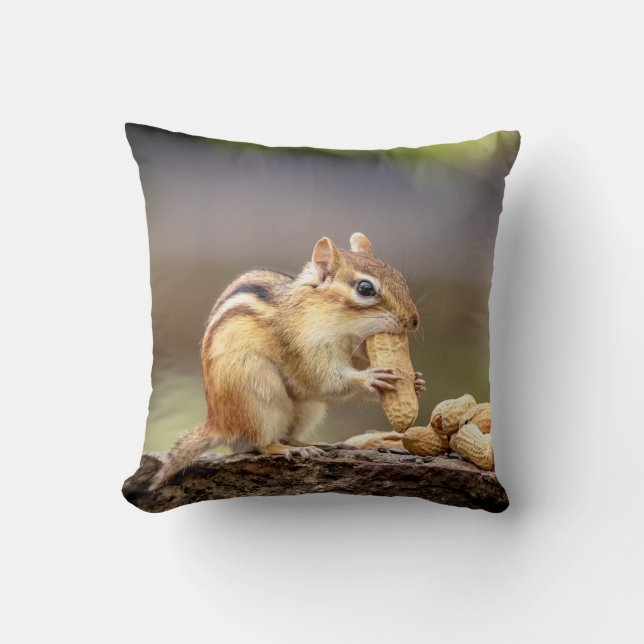 Coussin Chipmunk mange une cacahuète (Recto)