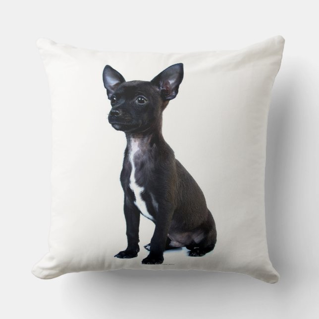 Coussin Chiwawa (Recto)