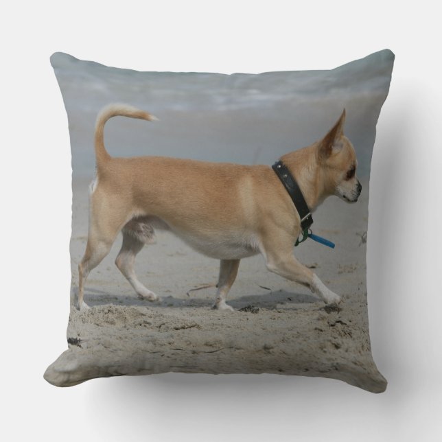 Coussin Chiwawa sur la plage (Recto)