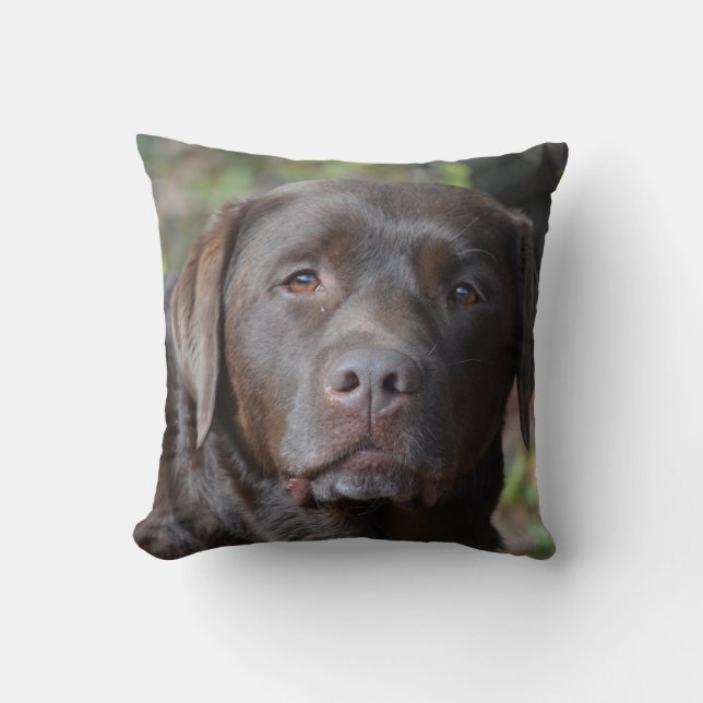 Coussin Chocolat adorable labrador retriever (Recto)