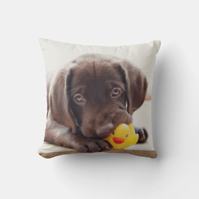 Coussin Chocolat Labrador Puppy With Toy Duck (Recto)