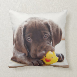 Coussin Chocolat Labrador Puppy With Toy Duck