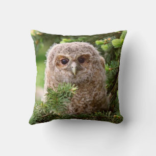 Coussin Chouette