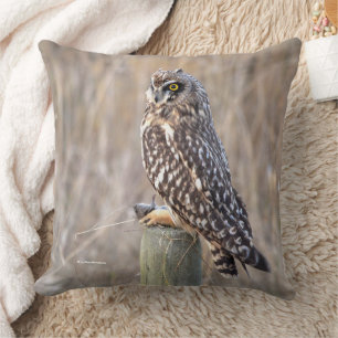Coussin Chouette à courte portée avec trou