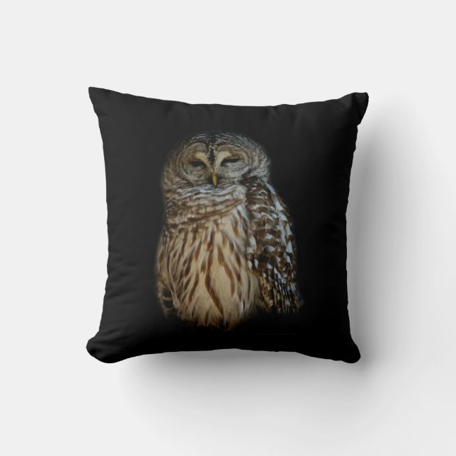Coussin Chouette endormie (Recto)