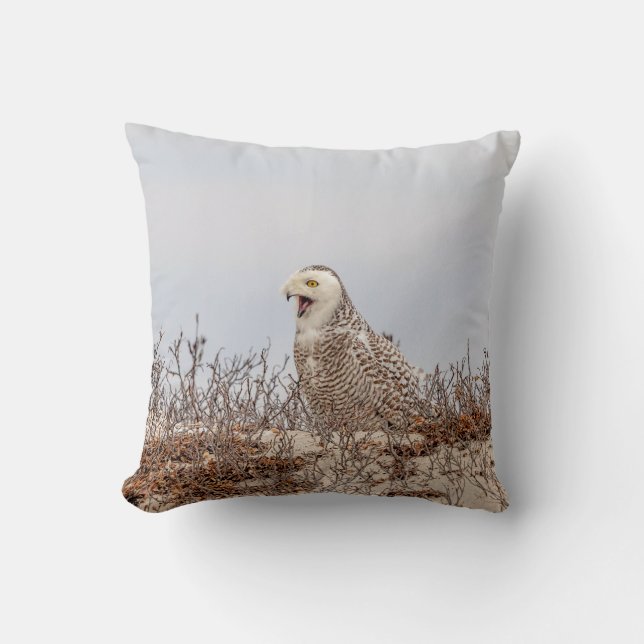 Coussin Chouette neige assise sur la plage (Recto)