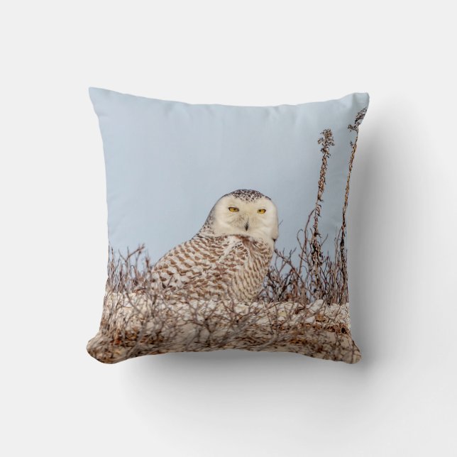 Coussin Chouette neige assise sur la plage (Recto)