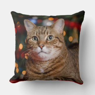 Coussin Christmas Cat
