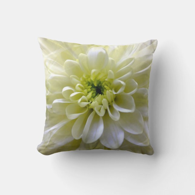 COUSSIN CHRYSANTHEMUM (Recto)