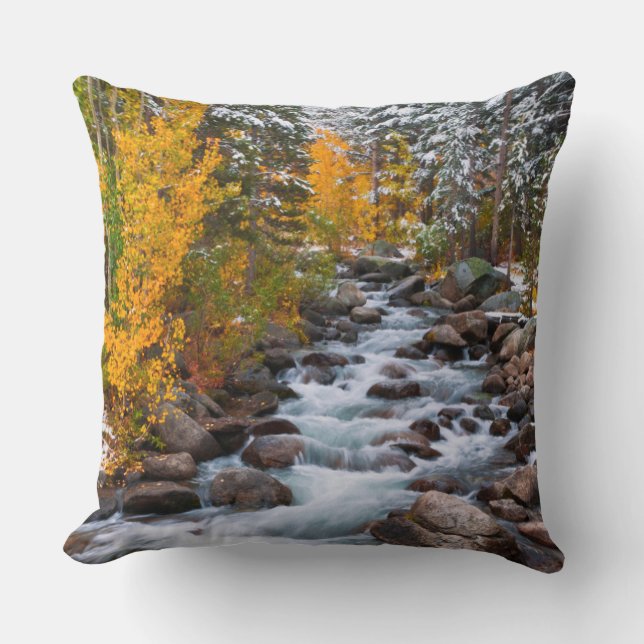 Coussin Chute le long du ruisseau Bishop, Californie (Recto)