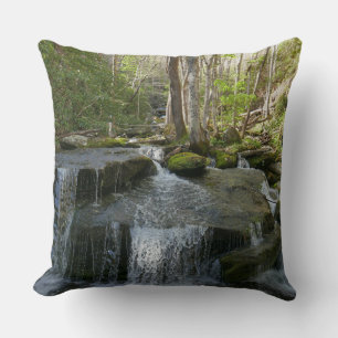 Coussin Chutes de Findlay I