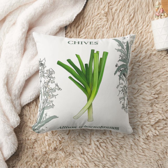 Coussin Ciboulette — Allium schoenoprasum (Couverture)