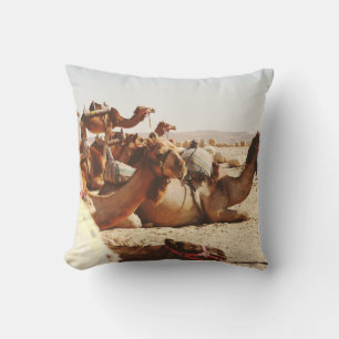COUSSIN CINQ CAMELS SUR LE TERRAIN