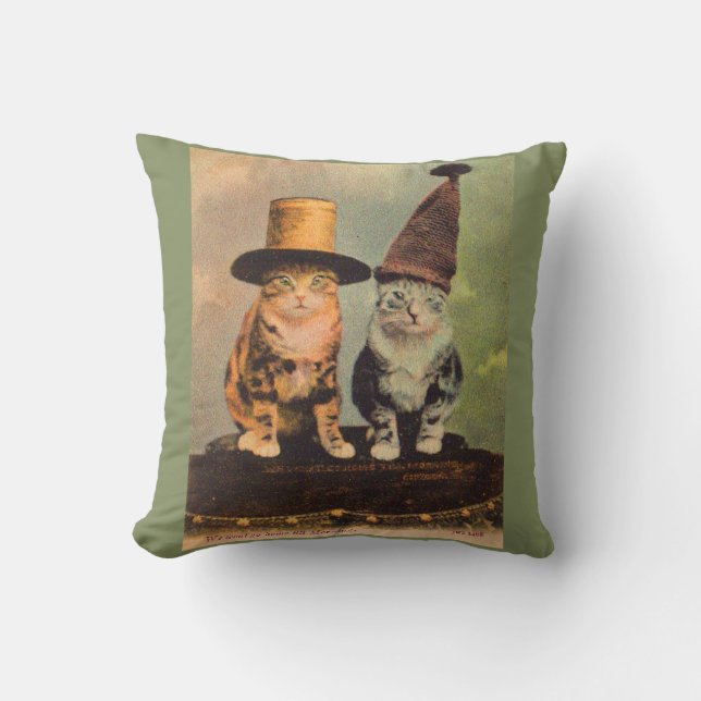 Coussin circa 1900 chats en RPPC casquette (Recto)