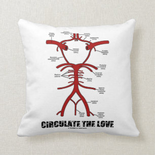 Coussin Circulez l'amour (le cercle de willis)