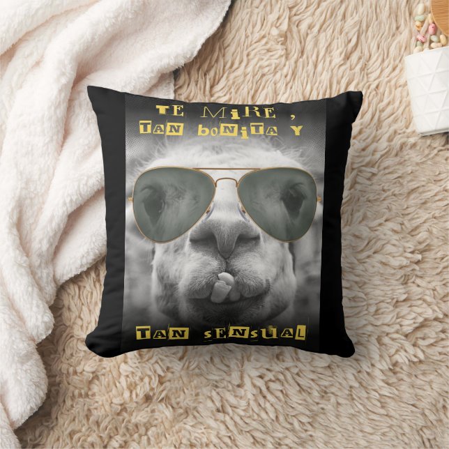 Coussin citation de llama (Couverture)