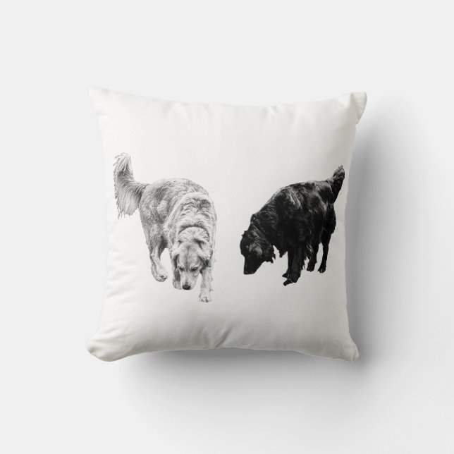 Coussin Citrouille-ombre calme — Retriever Duo (Recto)