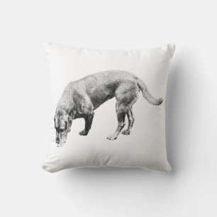 Coussin Citrouille Patch Guardian