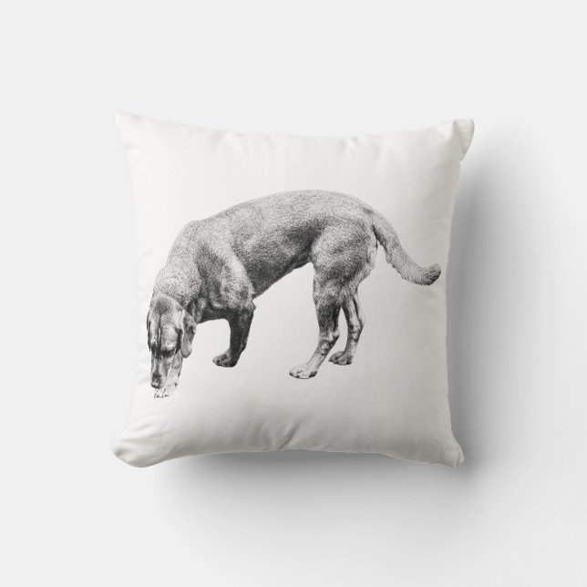 Coussin Citrouille Patch Guardian (Recto)