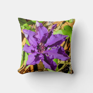 COUSSIN CLEMATIS
