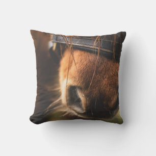 Coussin Closeudo d'un mignon cheval Brown nez
