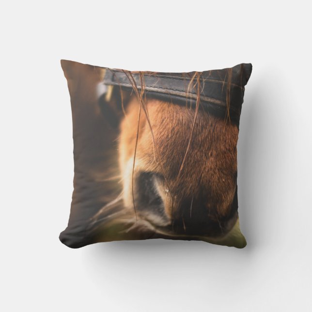 Coussin Closeudo d'un mignon cheval Brown nez (Recto)