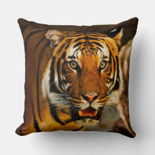 Coussin Closeup de tigre Extraordinaire