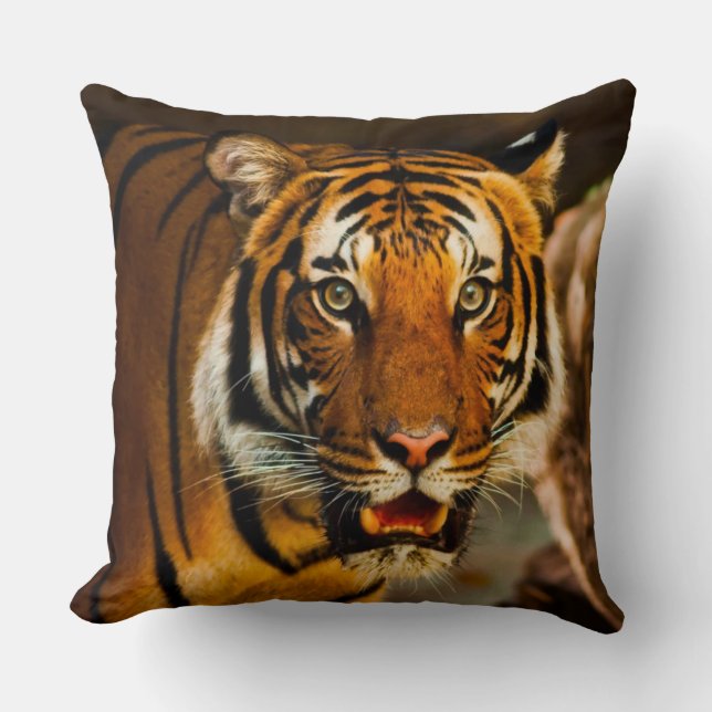 Coussin Closeup de tigre Extraordinaire (Recto)