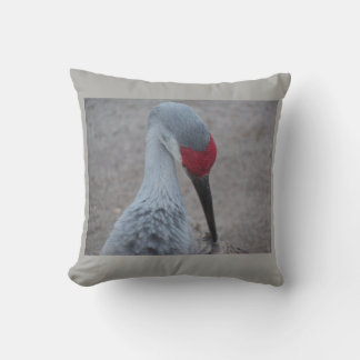 Coussin Closeup du visage d'une grue de sable