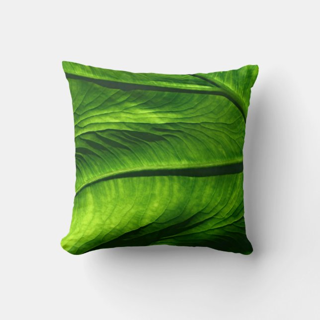 Coussin Closeup photo de la feuille verte (Recto)