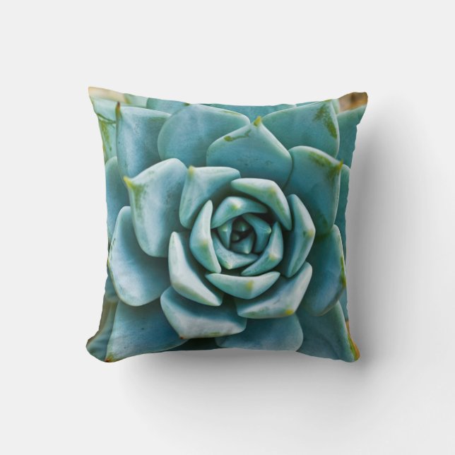 Coussin Closeup Succulent (Recto)