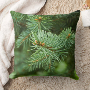 Coussin Closeuse de pin