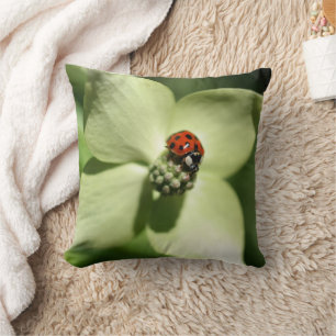 Coussin Coccinelle sur fleur de cornouiller blanc